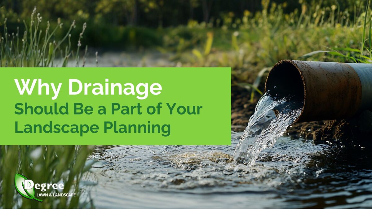 Why Drainage Should Be a Part of Your Landscape Planning